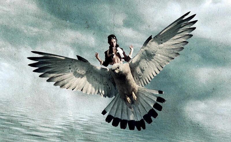 Person Riding a Bird — Gray