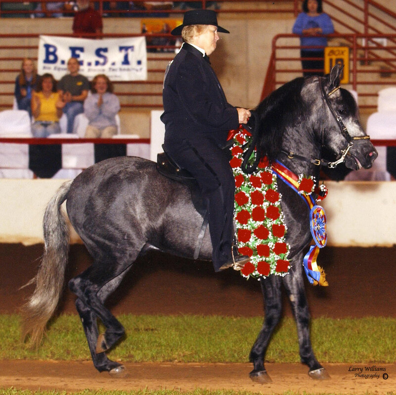 Person Riding a Horse — Black