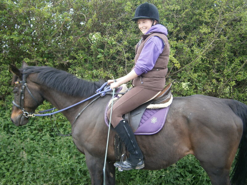Person Riding a Horse — Brown, Calm