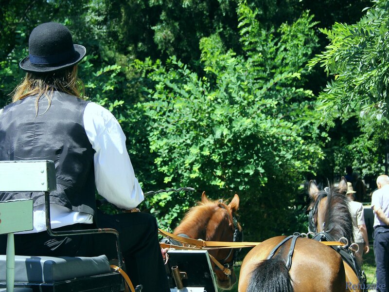 Person riding a horse-drawn carriage