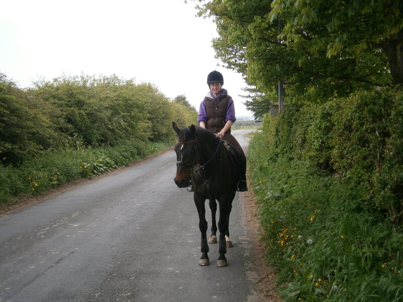 Person Riding a Horse — Green, Calm