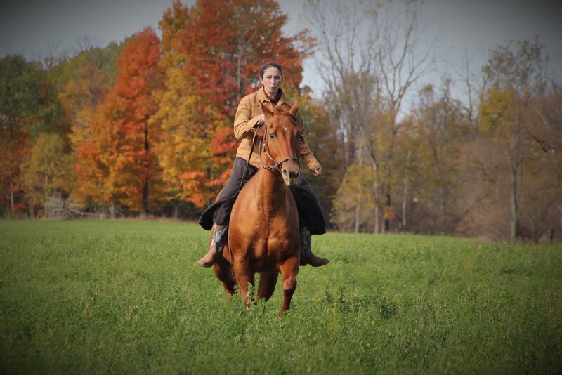 Person Riding a Horse — Green, Serene