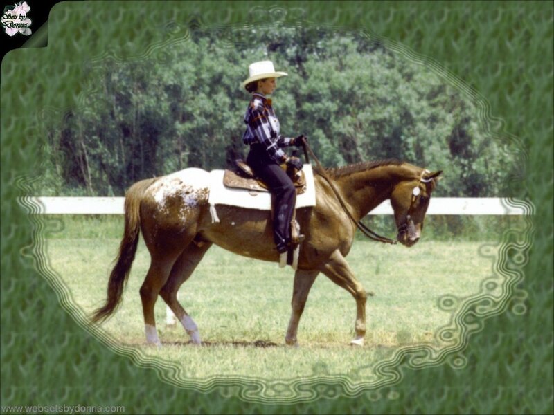 Person Riding a Horse — Green