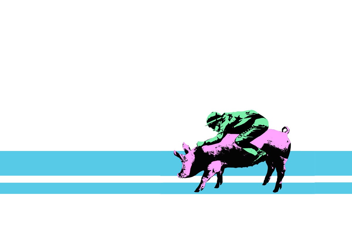 person riding a pig