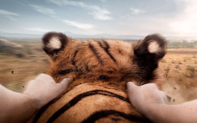 person riding a tiger