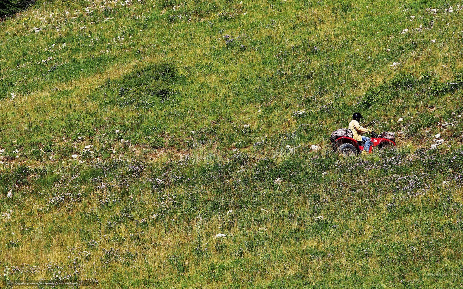 Person riding ATV on hillside