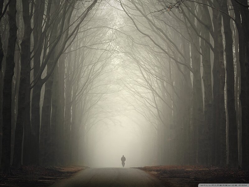 Person Riding Bicycle — Gray