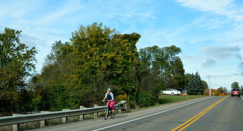 Person Riding Bicycle — Green, Calm, Autumn