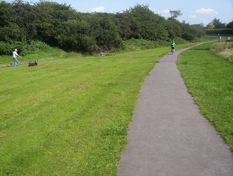 Person Riding Bicycle — Green, Calm