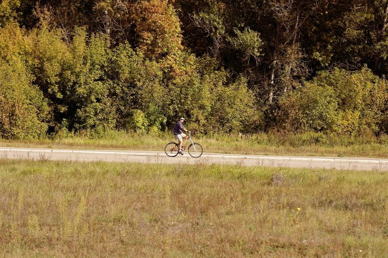 person riding bicycle on road