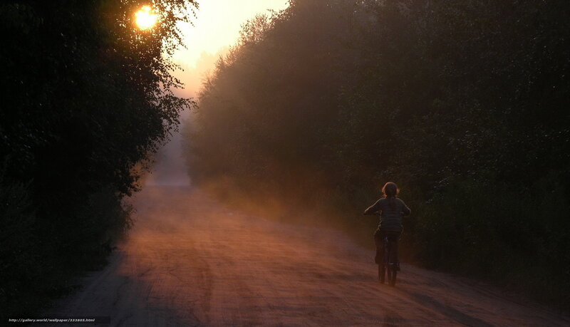 Person Riding Bicycle — Orange, Serene, Sunset