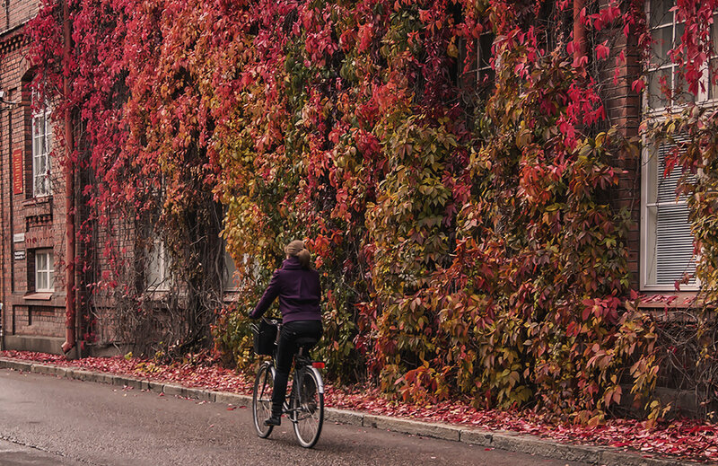 Person Riding Bicycle — Red, Calm