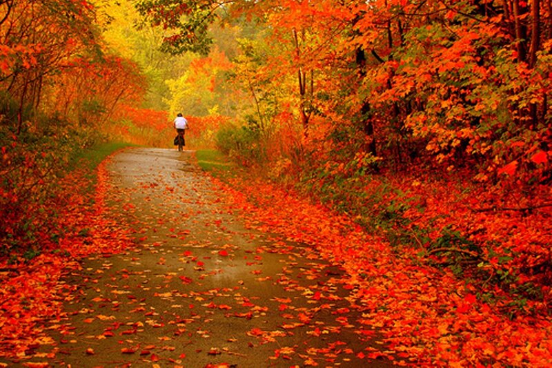Person Riding Bicycle — Red