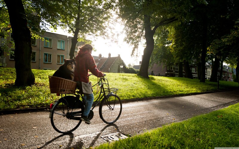 Person Riding Bicycle with Dog