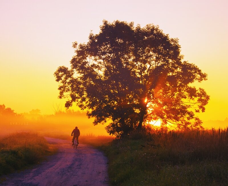 Person Riding Bicycle — Yellow