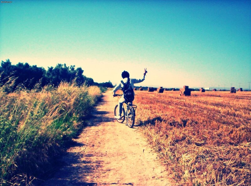 Person riding bike on country path