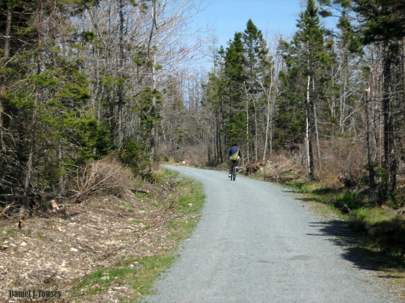person riding bike on forest path
