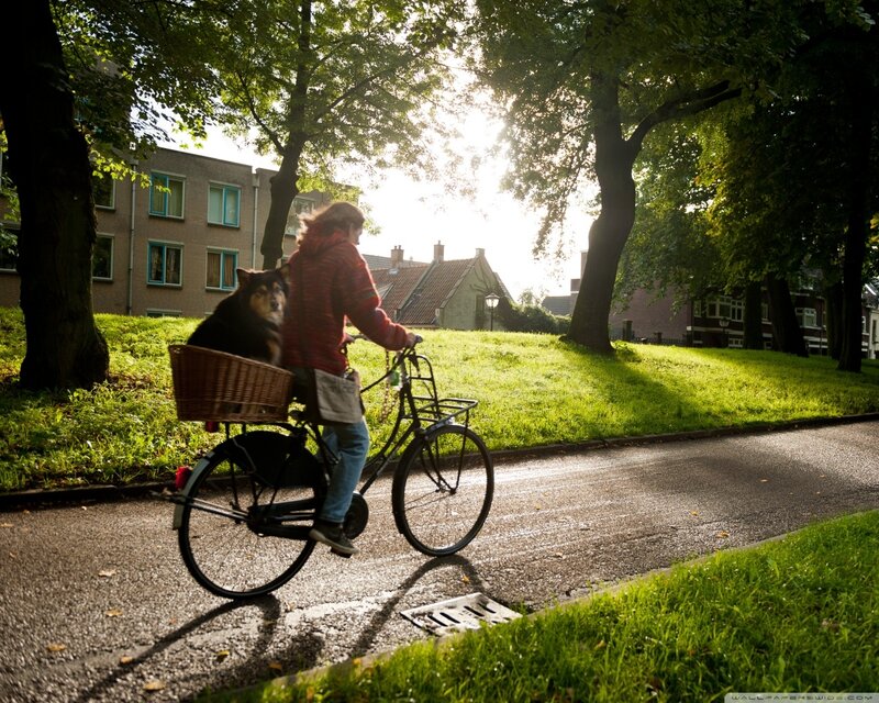 Person Riding Bike with Dog
