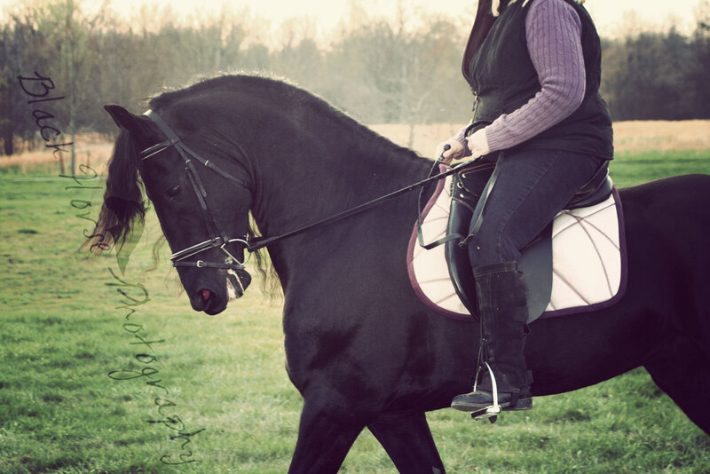 Person Riding Black Horse