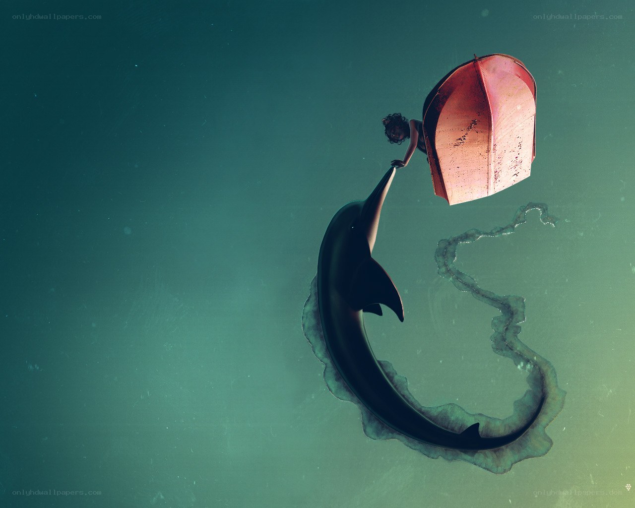 person riding dolphin underwater