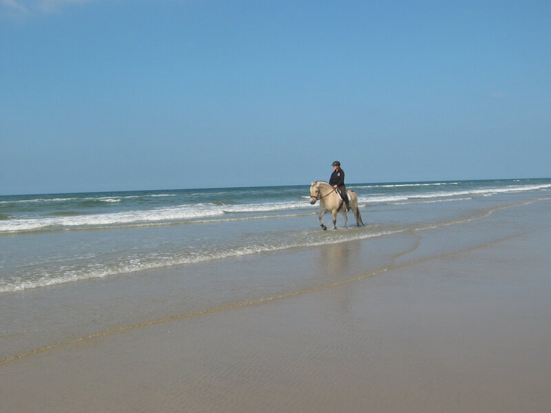 Person Riding Horse — Blue, Serene, Afternoon, Photograph
