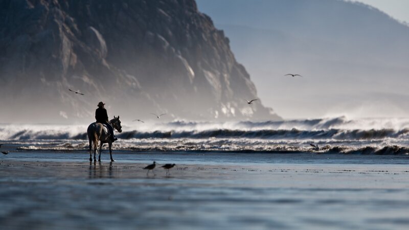 Person Riding Horse — Blue, Serene, Morning, Photograph