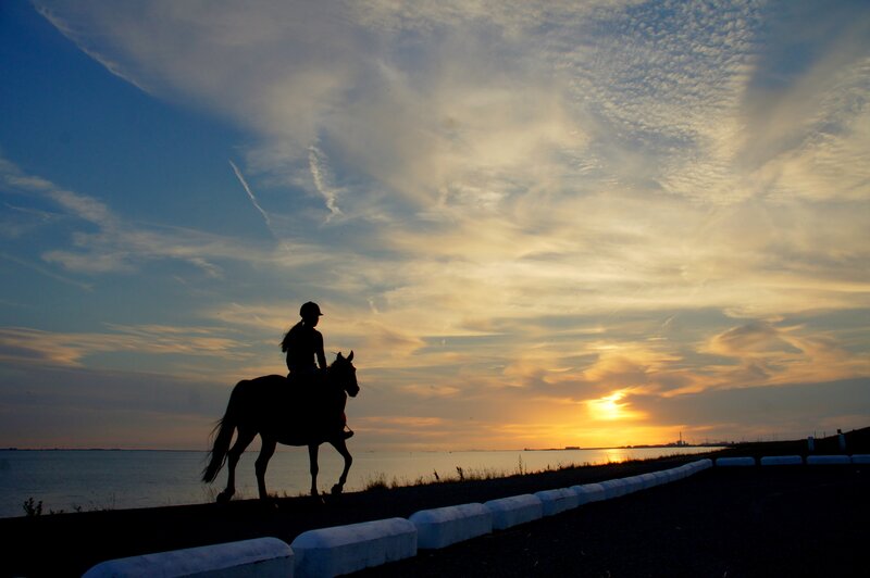 Person Riding Horse — Blue, Serene, Sunset, Photograph
