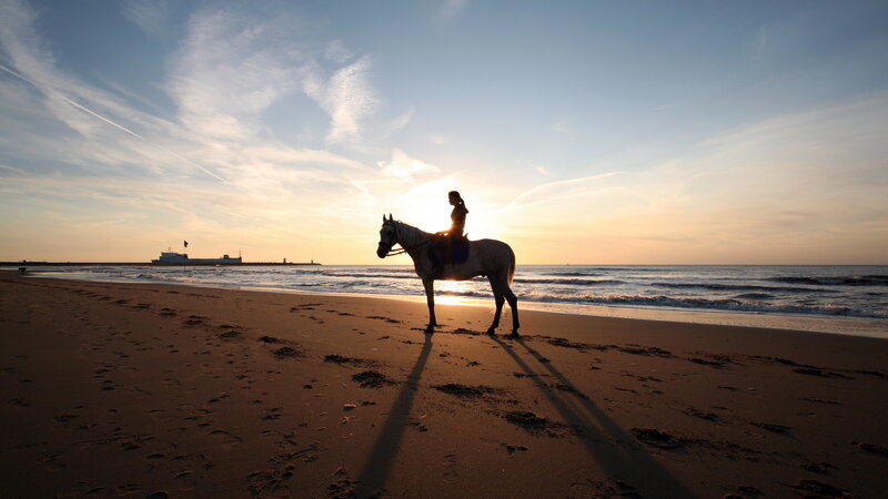 Person Riding Horse — Blue, Serene, Sunset