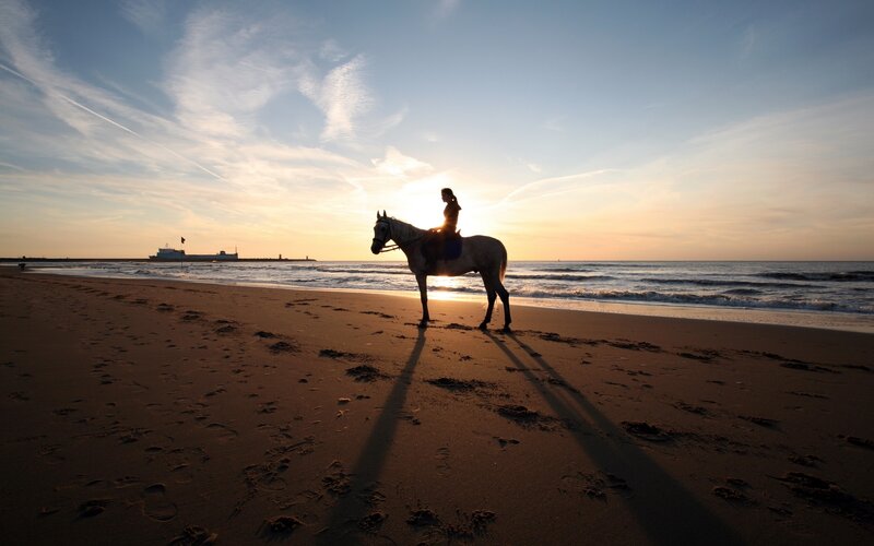 Person Riding Horse — Blue, Serene