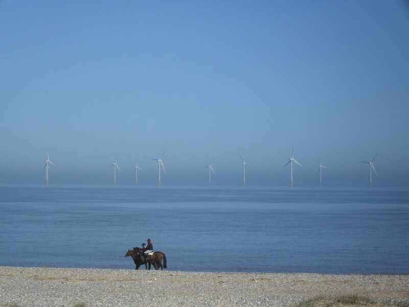 Person Riding Horse — Blue