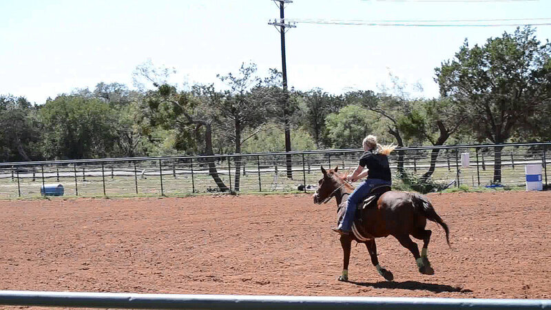 Person Riding Horse — Brown, Active