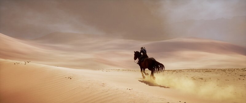 Person Riding Horse — Brown, Dramatic, Sunset