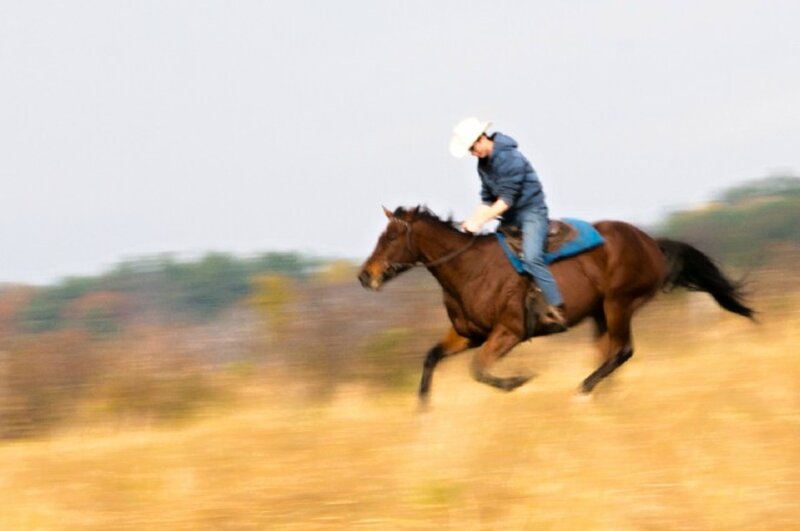 Person Riding Horse — Brown, Dynamic