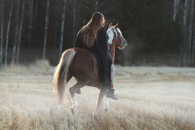 Person Riding Horse — Brown, Serene, Sunset, Photograph