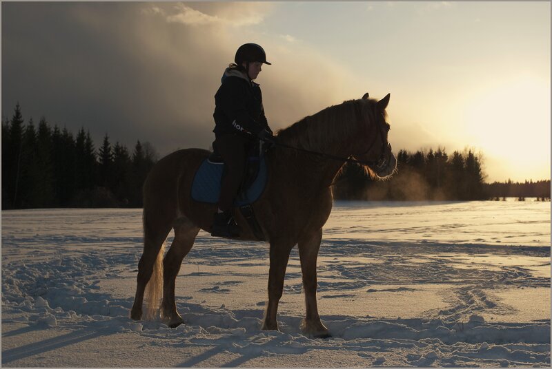 Person Riding Horse — Brown