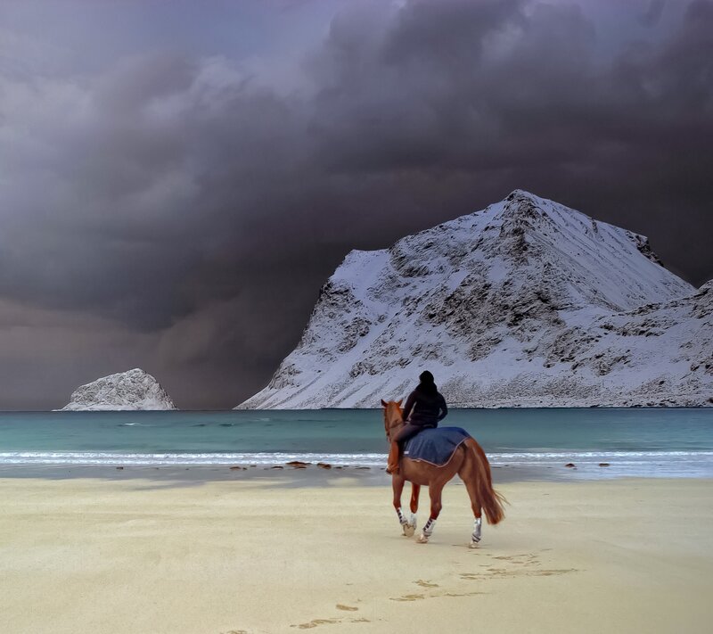 Person Riding Horse — Gray