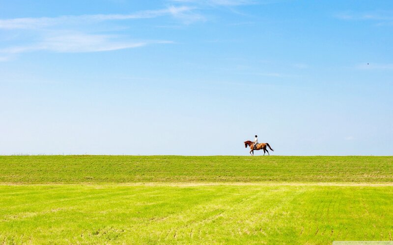 Person Riding Horse — Green