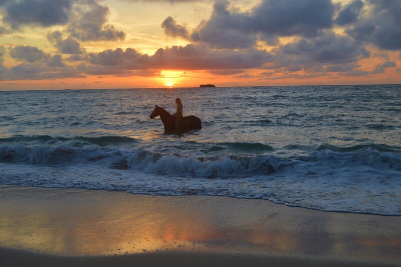 Person Riding Horse in Ocean