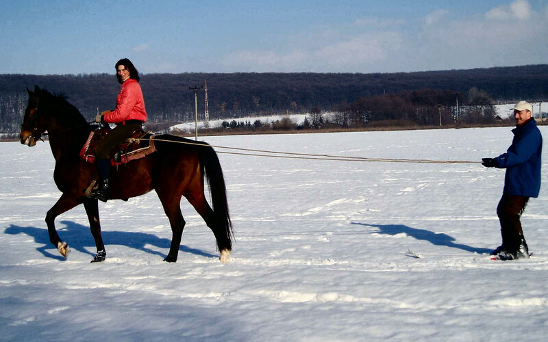 Person Riding Horse in Snow — White