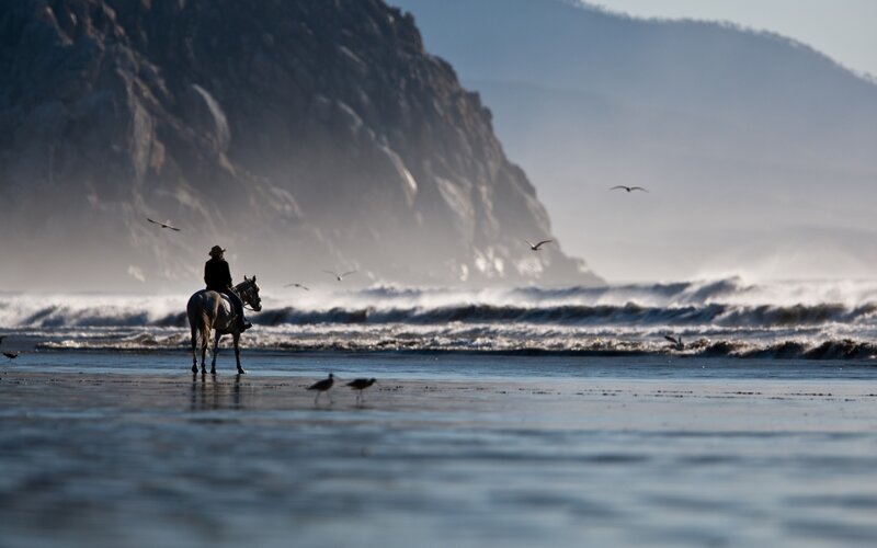 Person Riding Horse on Beach — Blue, Serene, Morning