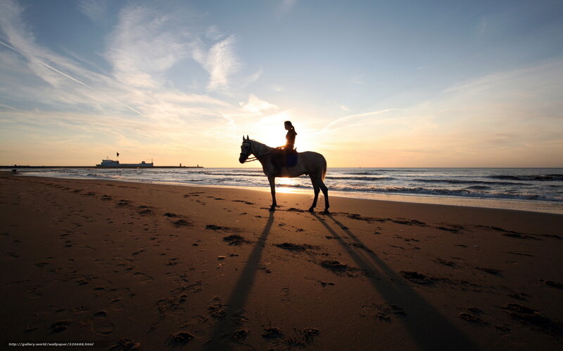 Person Riding Horse on Beach — Blue, Serene, Sunset, Photograph