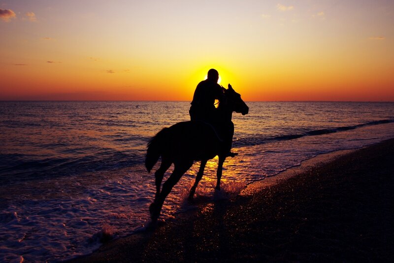 Person Riding Horse — Orange, Serene, Sunset