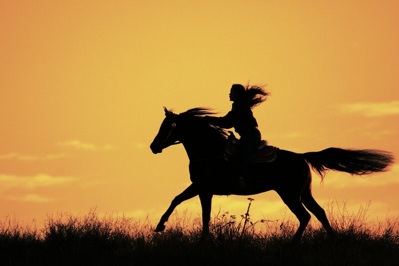 Person Riding Horse — Orange