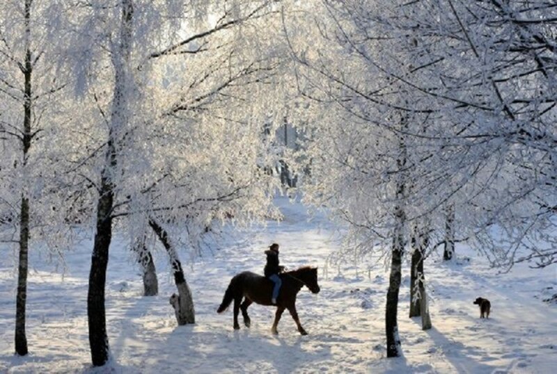 Person Riding Horse — White