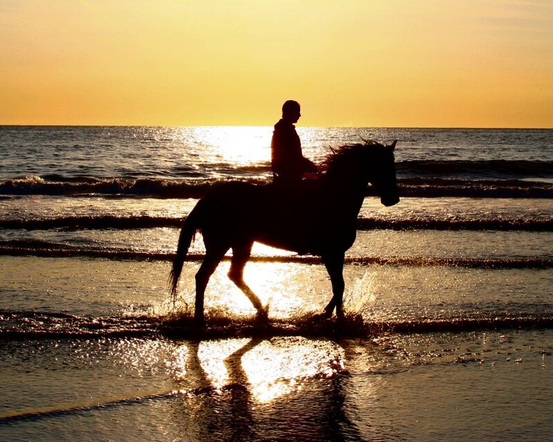 Person Riding Horse — Yellow