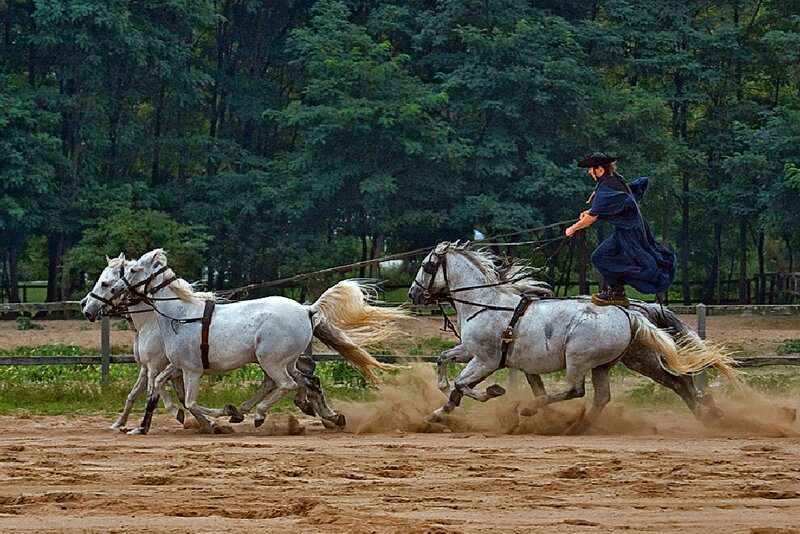 Person Riding Horses