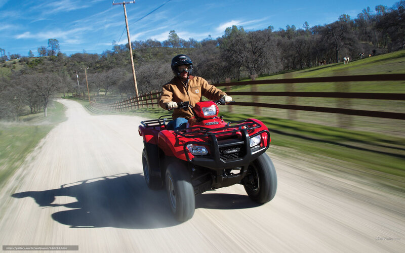 Person riding red ATV on dirt road