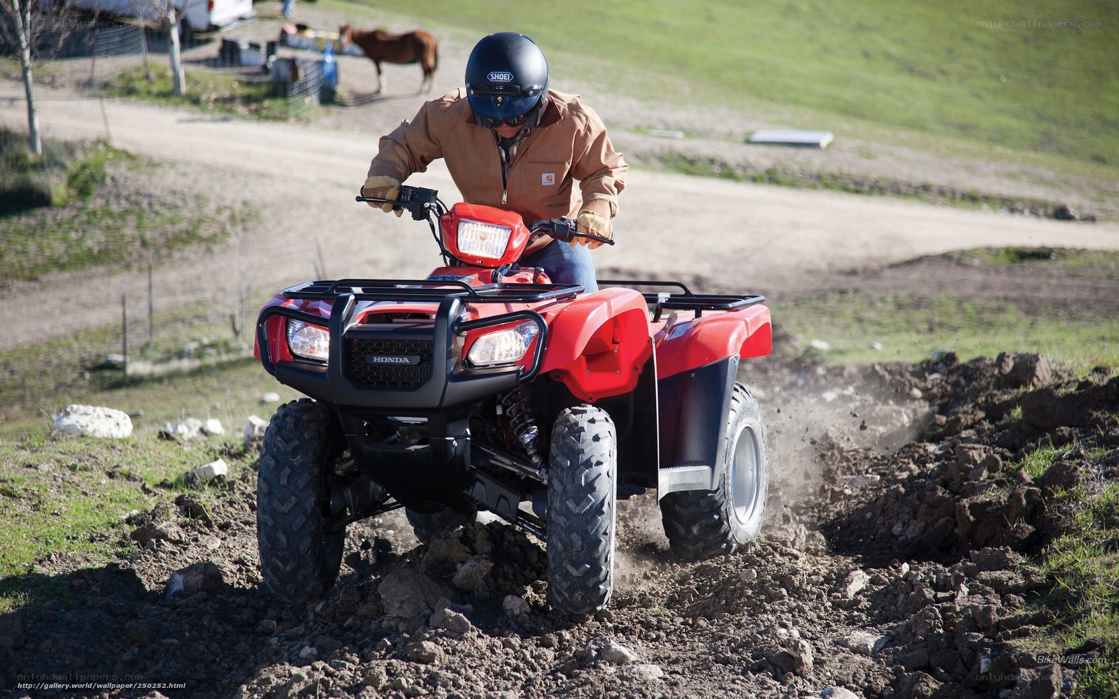 Person riding red ATV on dirt