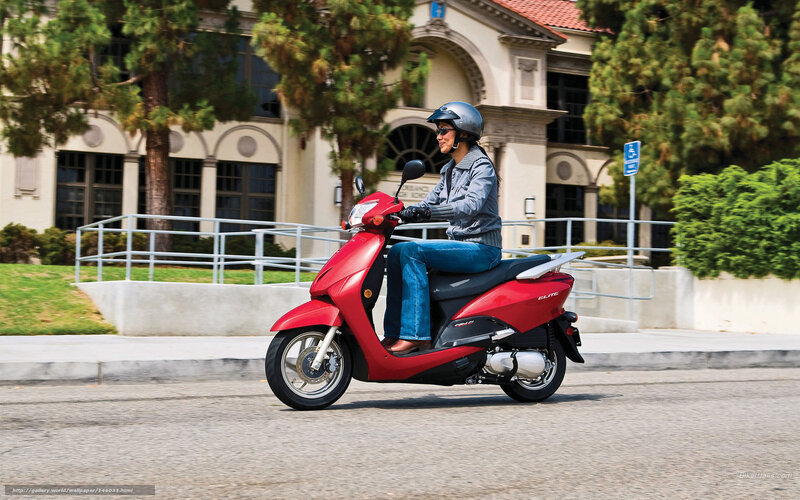 Person Riding Red Scooter — Calm, Afternoon