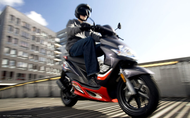 Person Riding Scooter — Black, Dynamic, Afternoon
